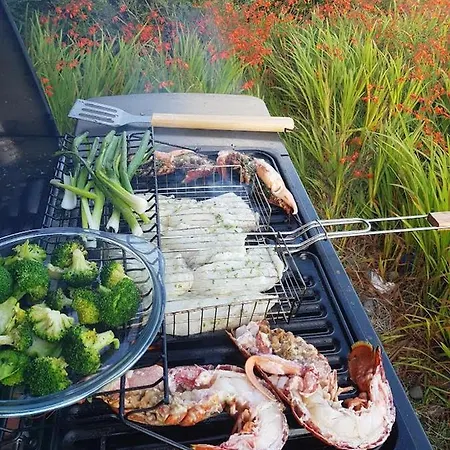 Vakantiehuis Cois Farraige *